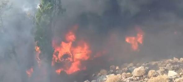 Έμπειρος ο οδηγός του λεωφορείου