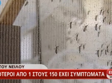 Μήπως σας τσίμπησε;