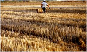 Παραχώρηση δημόσιας περιουσίας