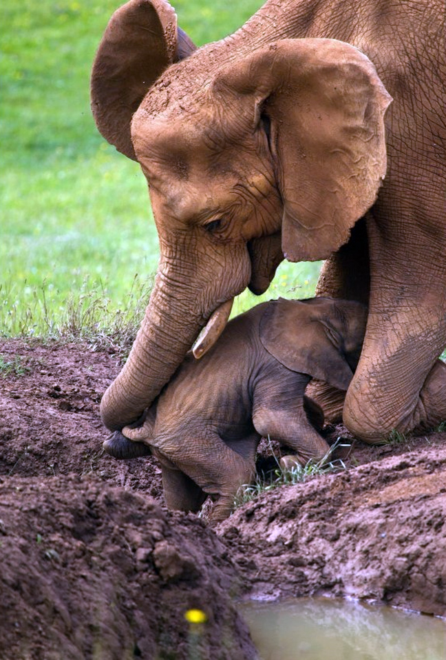 Η μητέρα ήταν εκεί