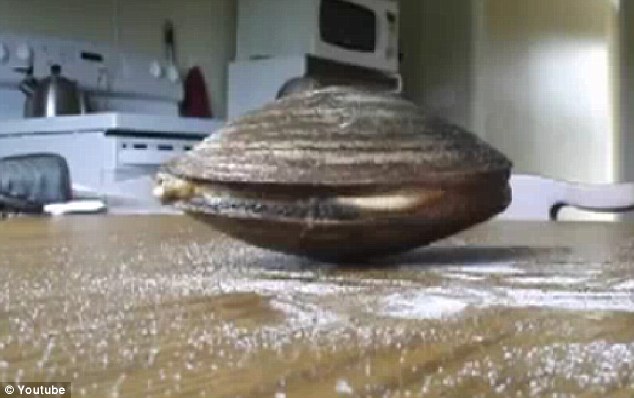 Η… γλωσσού αχιβάδα