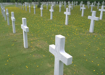 Χασισόδεντρα σε… νεκροταφείο