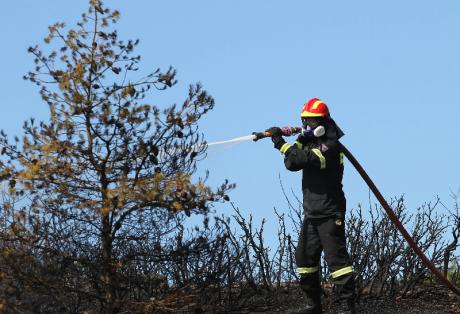 Υπό έλεγχο η φωτιά στη Σαλαμίνα