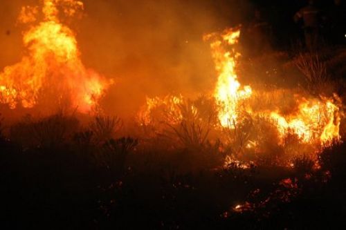 Ανοιχτό μέτωπο και στη Μεσσηνία