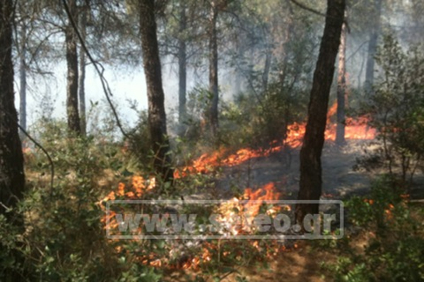 Τώρα- Η φωτιά στο Σέιχ Σου