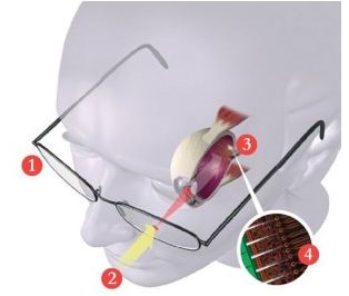 Οι τυφλοί θα… βλέπουν
