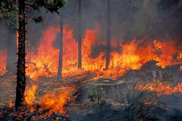 Τώρα-Φωτιά στην Κόρινθο