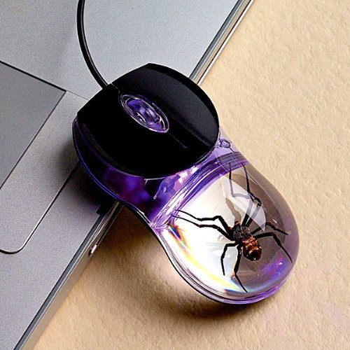 Ποντίκι… αράχνη