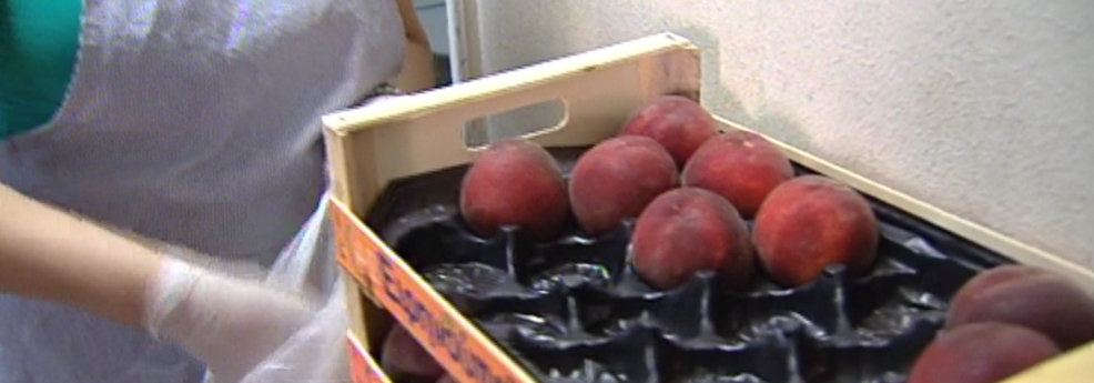 Διανομή φαγητού και το καλοκαίρι