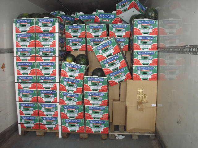 Τους έκρυβε στα… καρπούζια