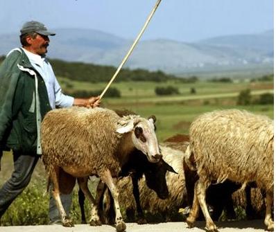 Αγρότες: Καταρρέουμε…