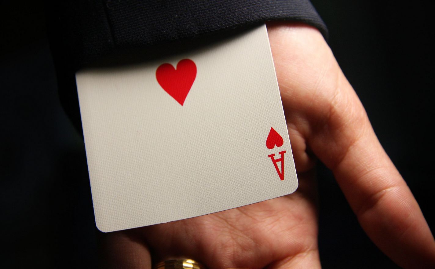 Η ετυμολογία του…λαμόγιου