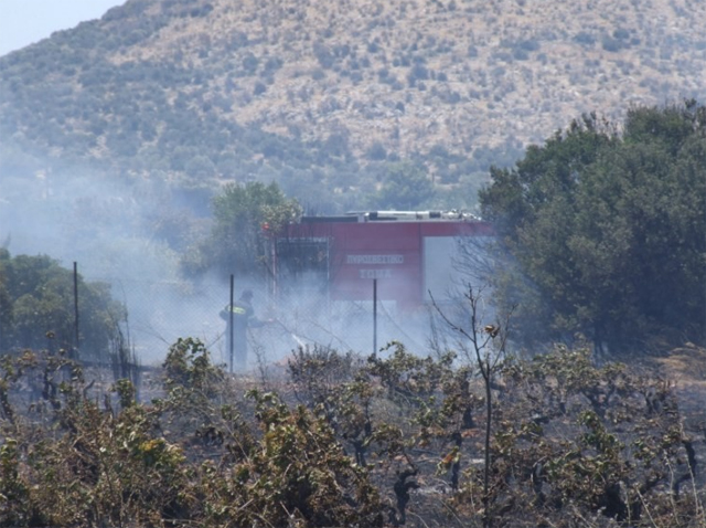 Φωτιά στα Μεσόγεια