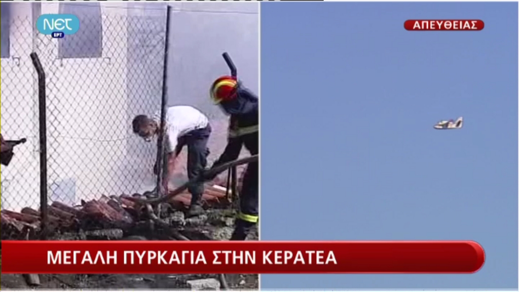 Τώρα – Προσπαθούν να σώσουν το δάσος του Πόρτο Ράφτη