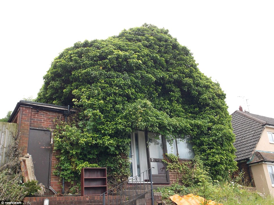 Αυτό σημαίνει…πράσινο σπίτι;