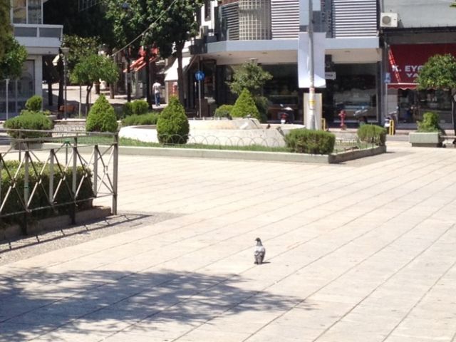 Στους 44 το θερμόμετρο