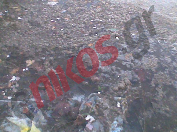 Εικόνες ντροπής στο ΟΑΚΑ