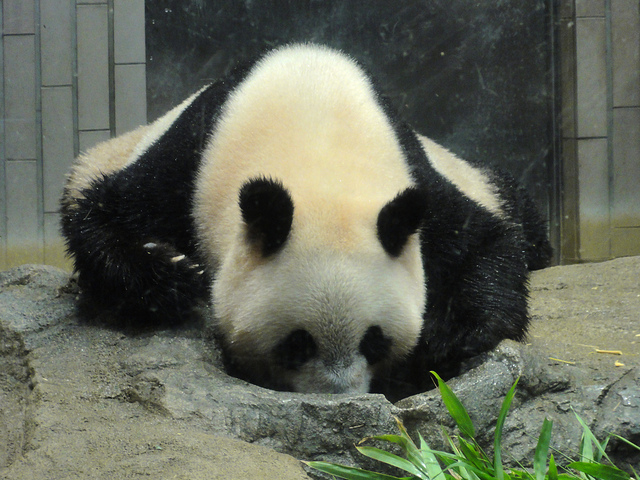 Γεννήθηκε πάντα, μετά από 24 χρόνια!