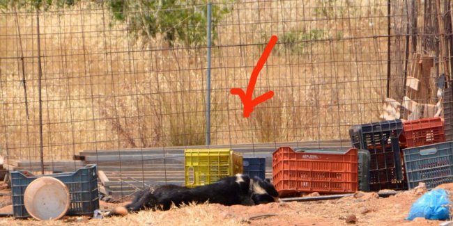 Φρικτός θάνατος κάτω από τον ήλιο