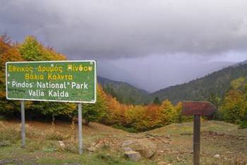 Νεκρά ζώα στη Βάλια Κάλντα