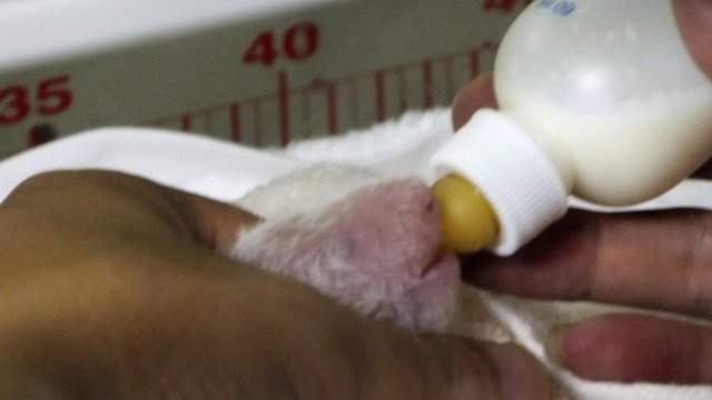 Δεν είναι τα πάντα δυνατά