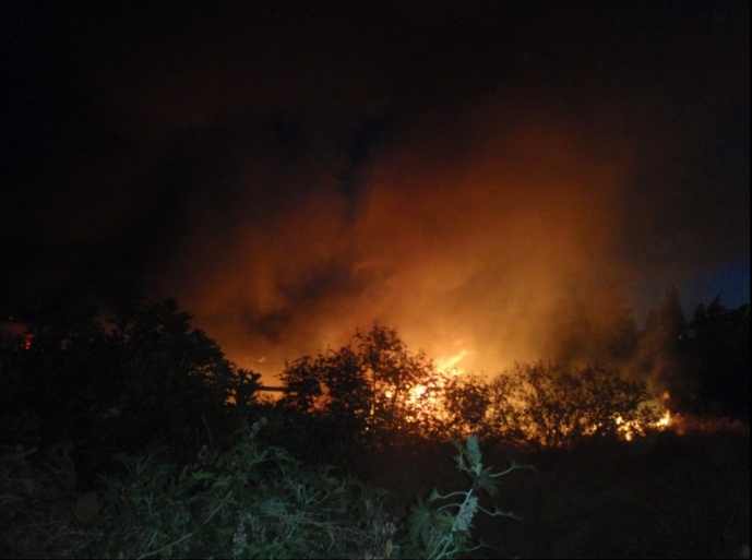 Υπό μερικό έλεγχο η φωτιά