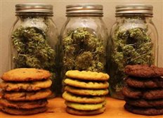 Έφαγε τα λάθος μπισκότα