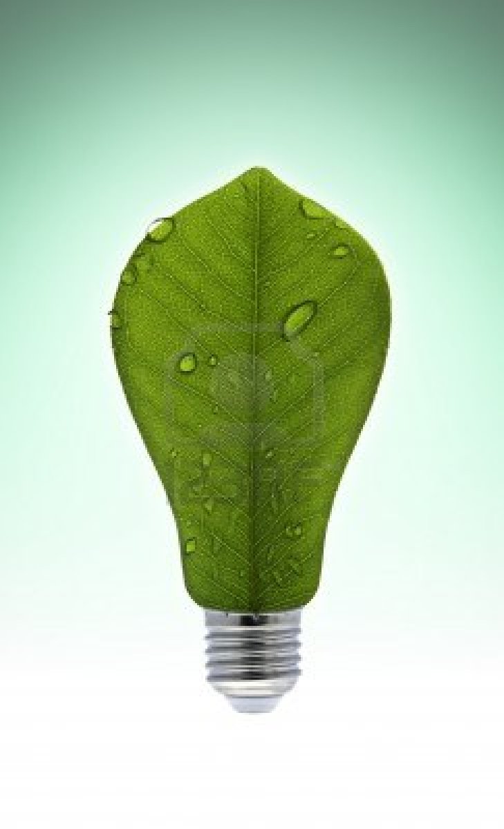 Οικολογική πρωτιά