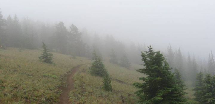 Η βροχή ματαίωσε την προπόνηση
