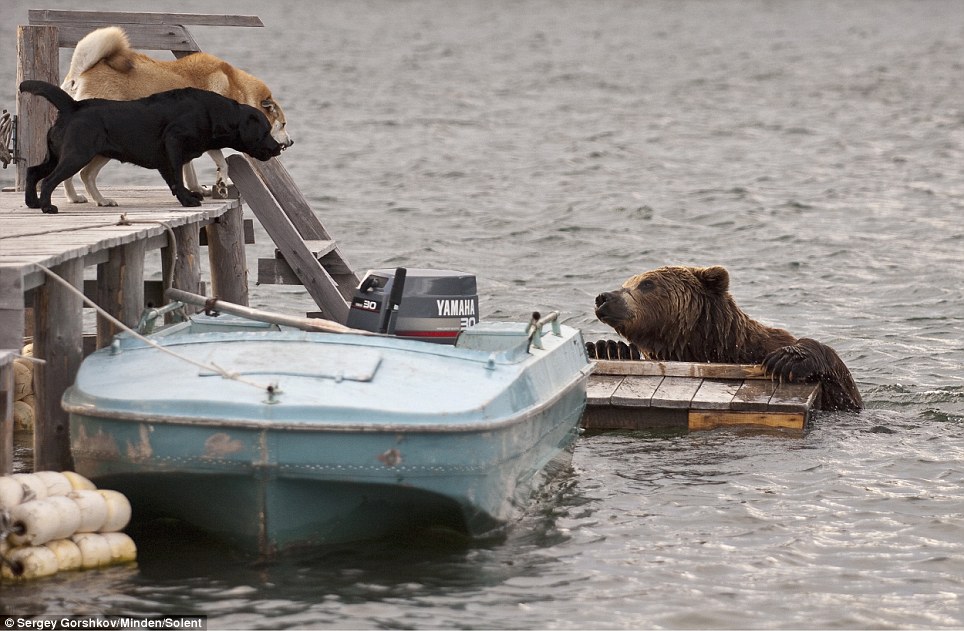 Ο θαυμαστός κόσμος των ζώων