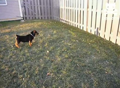 Πιο γρήγορος από την σκιά του…