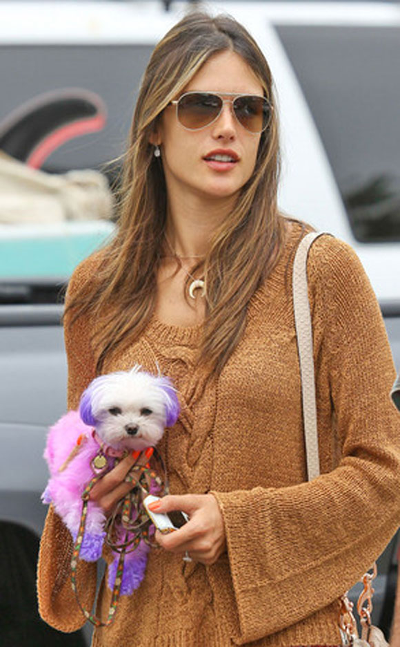 H Ambrosio στο στόχαστρο της PETA