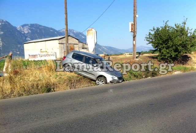 Αδέσποτο προκάλεσε ατύχημα