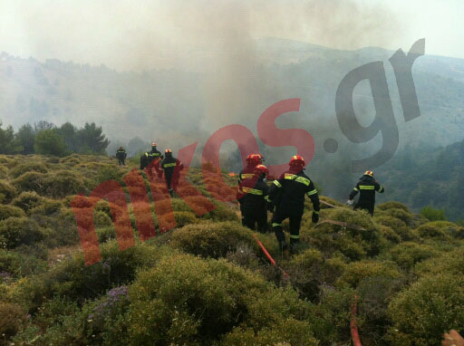 Η ανακοίνωση της Πυροσβεστικής