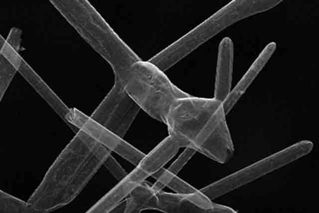 Το ελαφρύτερο υλικό στον κόσμο