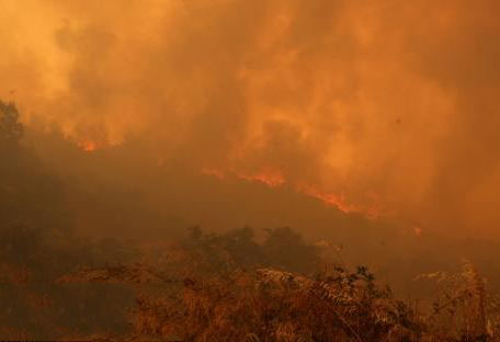 Σε κατάσταση εκτάκτου ανάγκης η Αχαϊα, μαρτυρίες για εμπρησμό