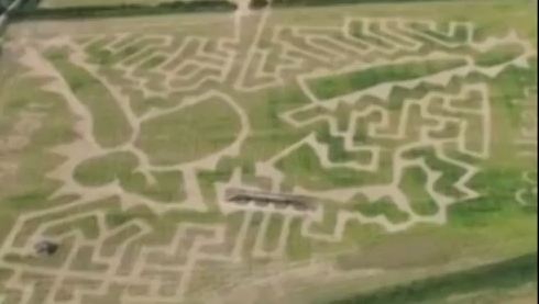 Έκανε τον Μπολτ στο χωράφι του