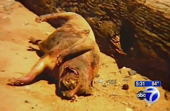 Το τέρας του Μπρούκλιν