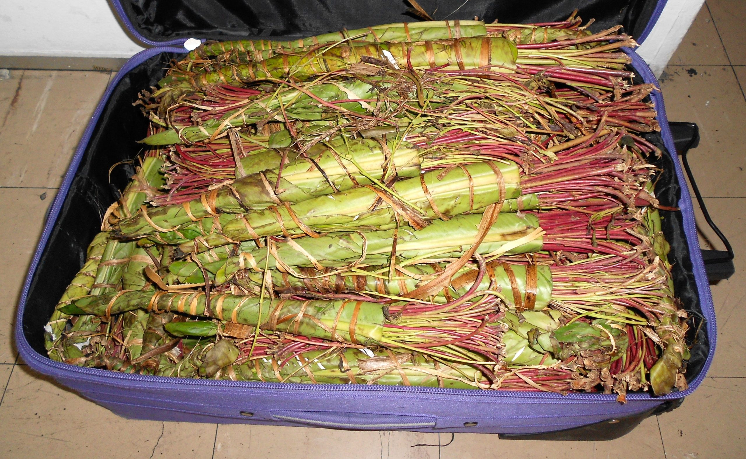 Βαλίτσα με ναρκωτικά