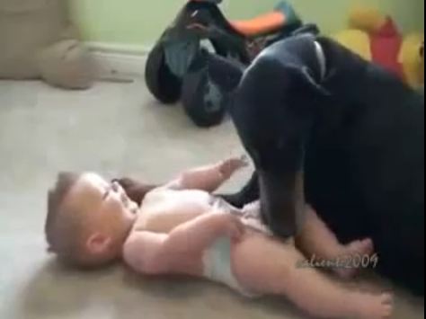 Νταντά – Ντόμπερμαν