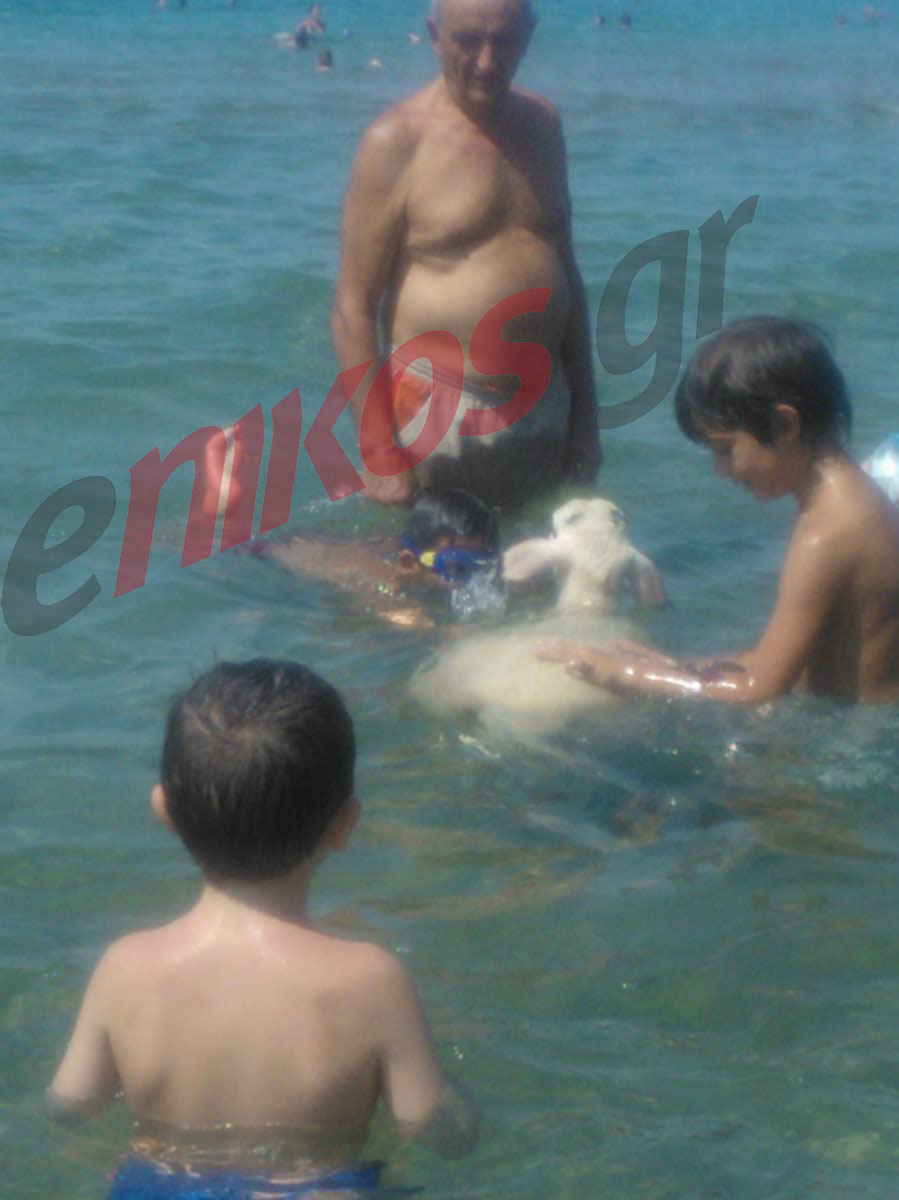 Η Μπέλα και τα μπάνια της