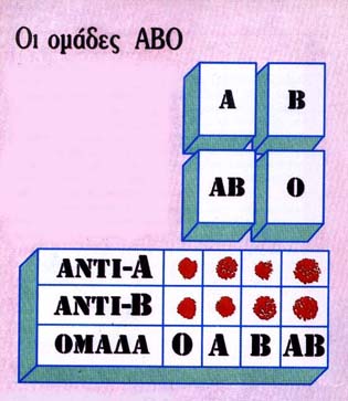 Ανάλογα με την ομάδα αίματος…