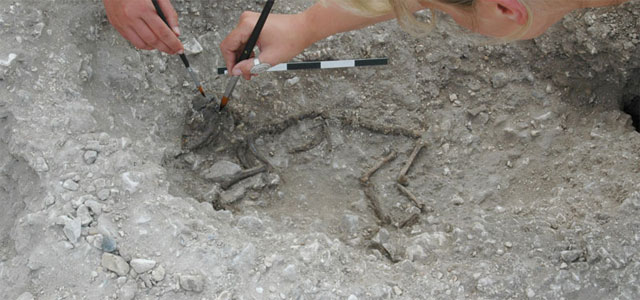 Αναζητούν τα λείψανα του Ριχάρδου