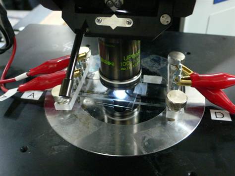 Παραγωγή ενέργειας από βακτήρια