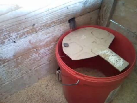 Άντρας εναντίον κτήνους