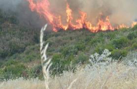 Σε ύφεση η φωτιά στην Κύμη