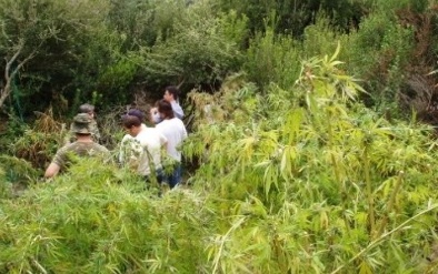 Τώρα-Αστυνομική επιχείρηση στα Ζωνιανά