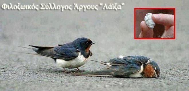 Μην πετάτε τσίκλες στο δρόμο!