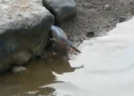 Αυτό δεν το έχετε ξαναδεί!