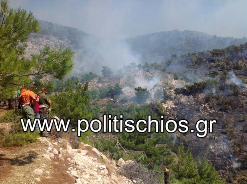 Τώρα-Φωτό από την Ελίντα